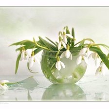 Схема вышивки «ПОДСНЕЖНИКИ»