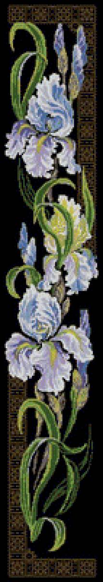 ирис - предпросмотр