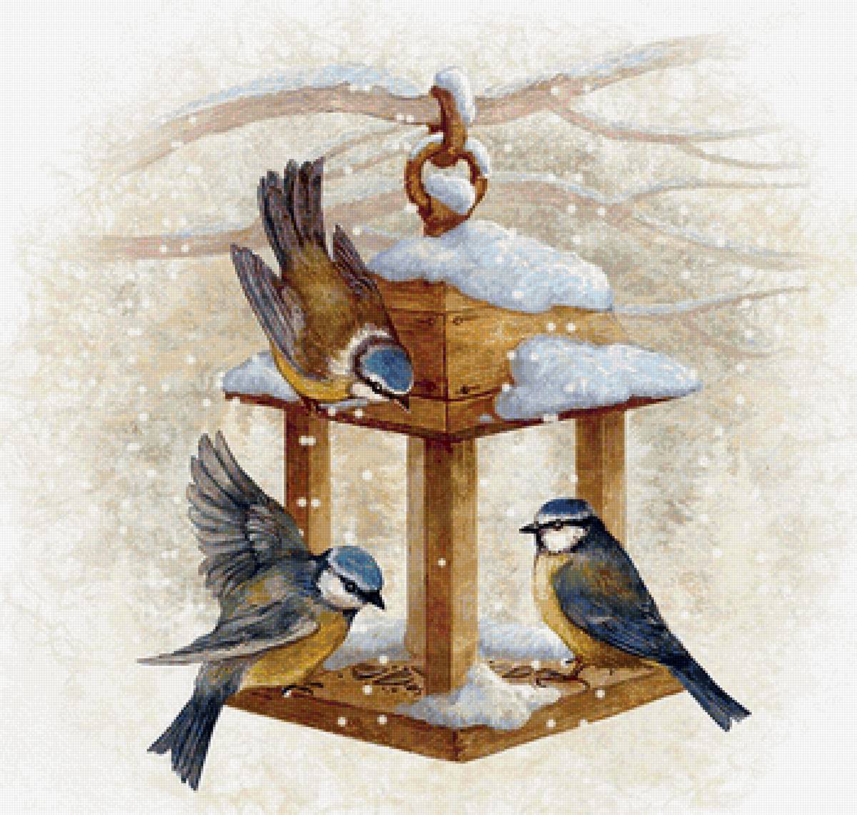 Птицы - животные - предпросмотр