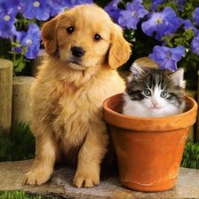 Схема вышивки «Друзья»