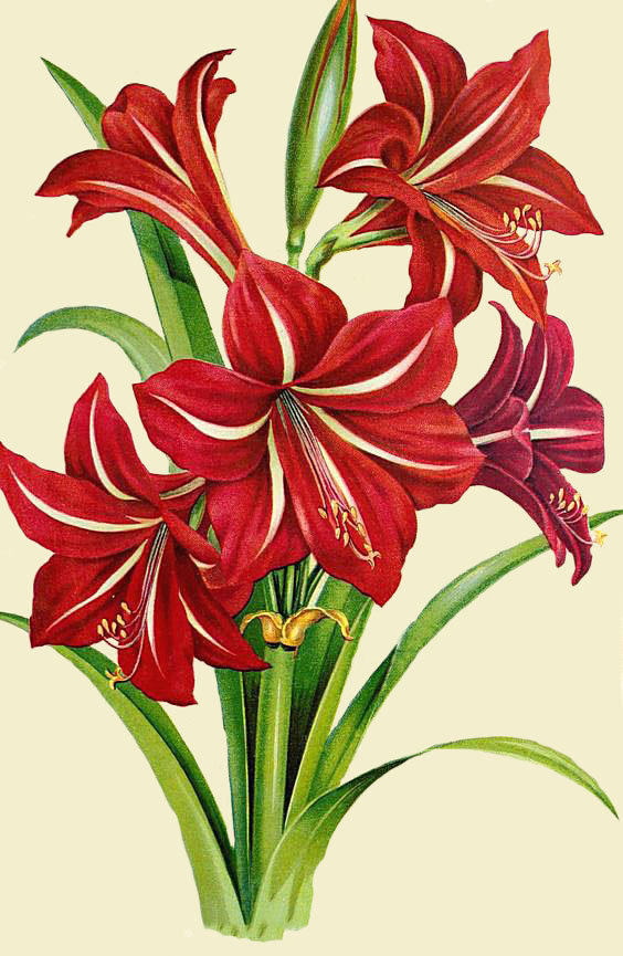 №1604377 - оригинал