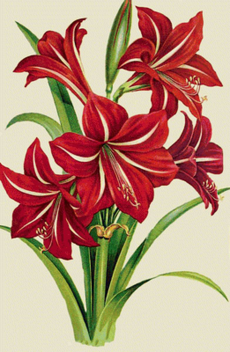 №1604377 - предпросмотр