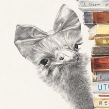 Схема вышивки «Страус»