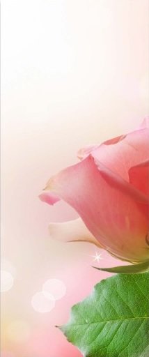 розы триптих 1 - триптих, розы, цветы - оригинал