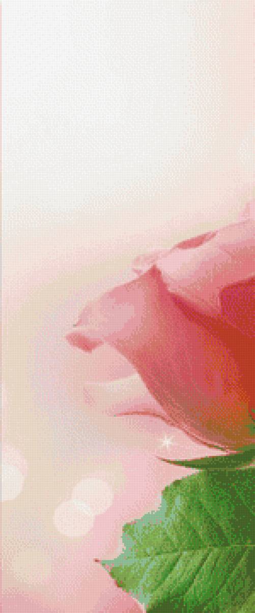 розы триптих 1 - розы, триптих, цветы - предпросмотр