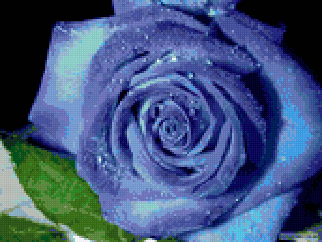 roza - предпросмотр