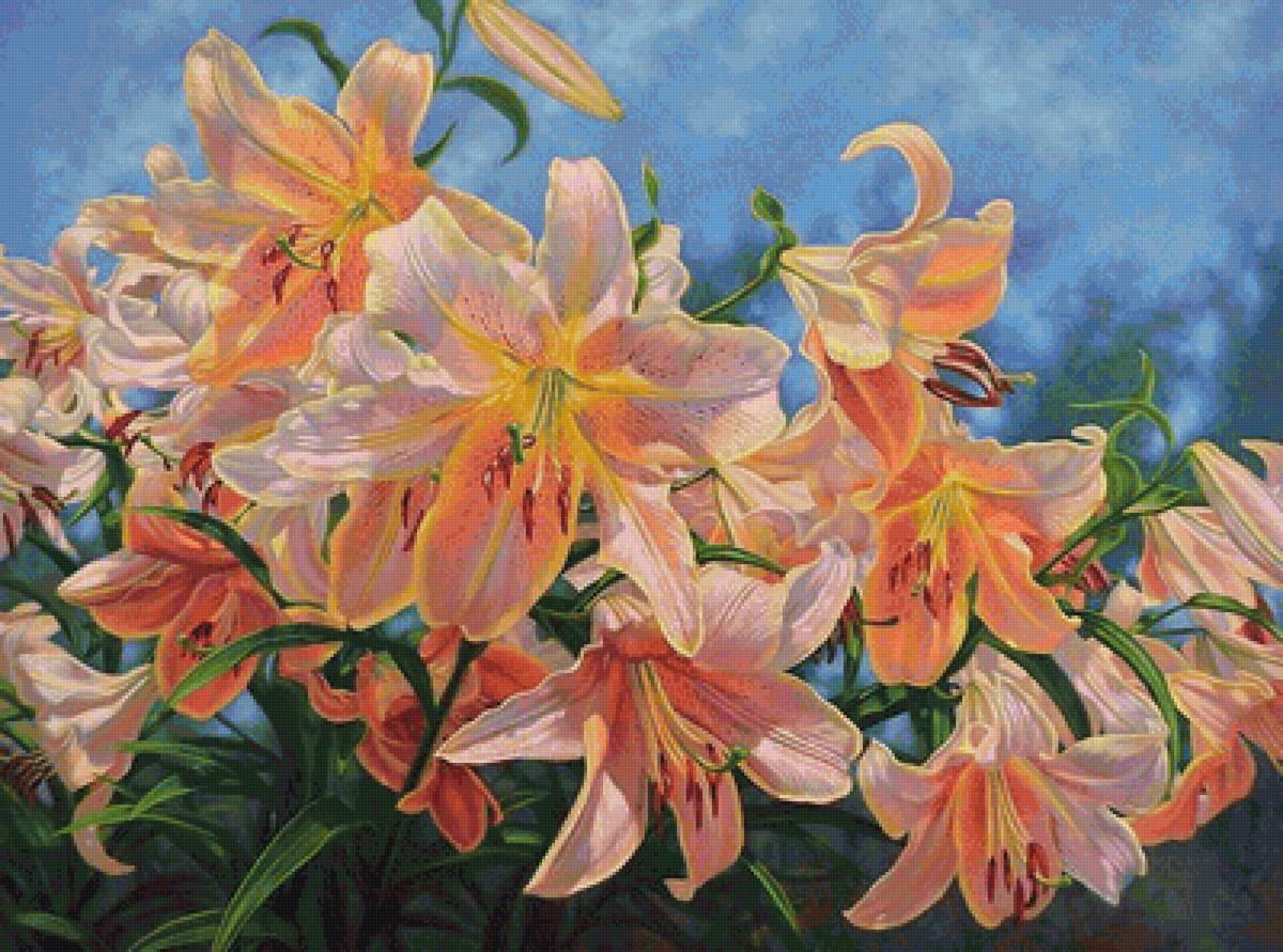 №1605154 - предпросмотр