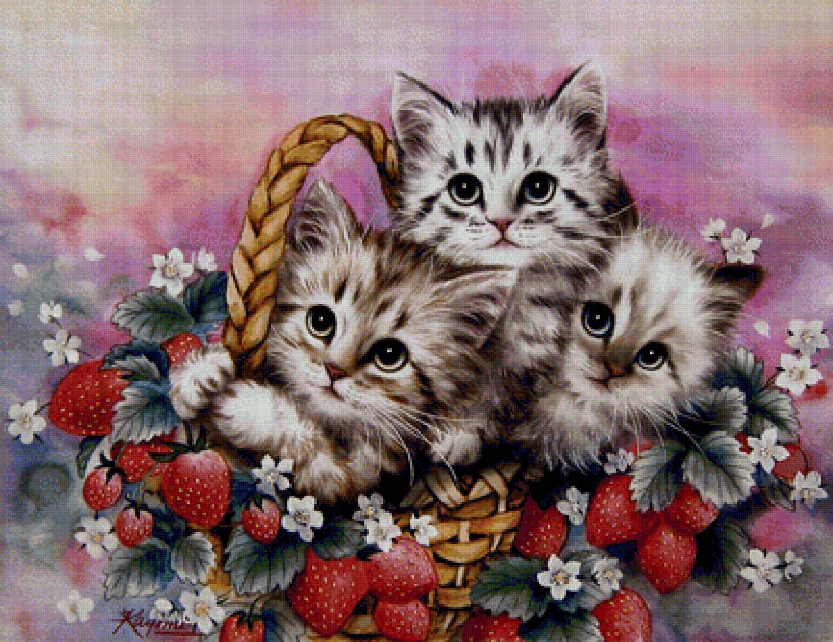 mačičky,jahody - предпросмотр