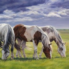 Схема вышивки «Кони»