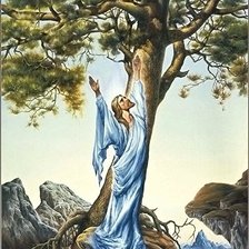 Схема вышивки «№1606541»