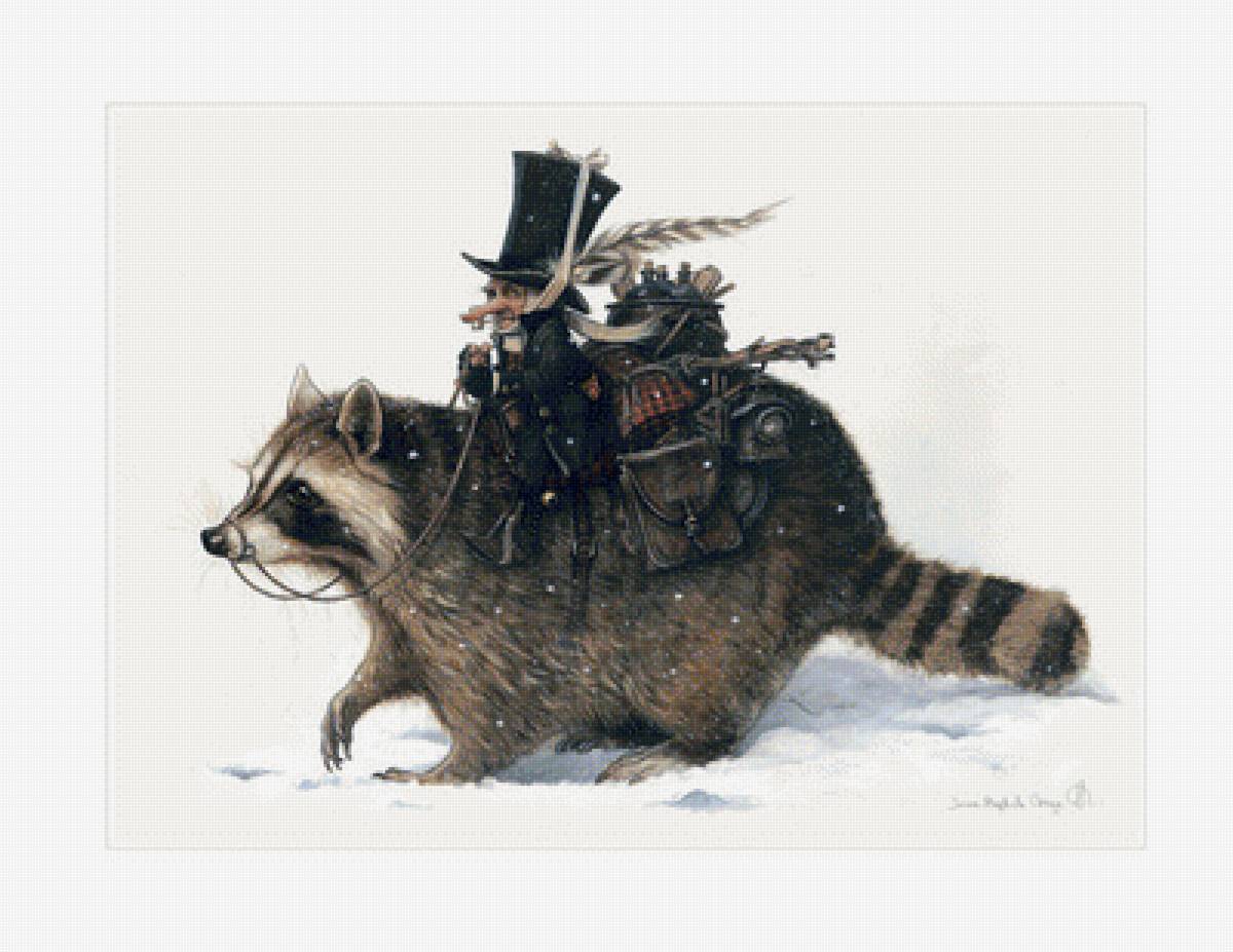 наездник енота - енот - предпросмотр