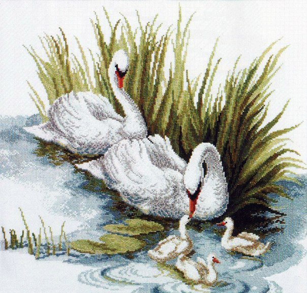 Лебеди - оригинал