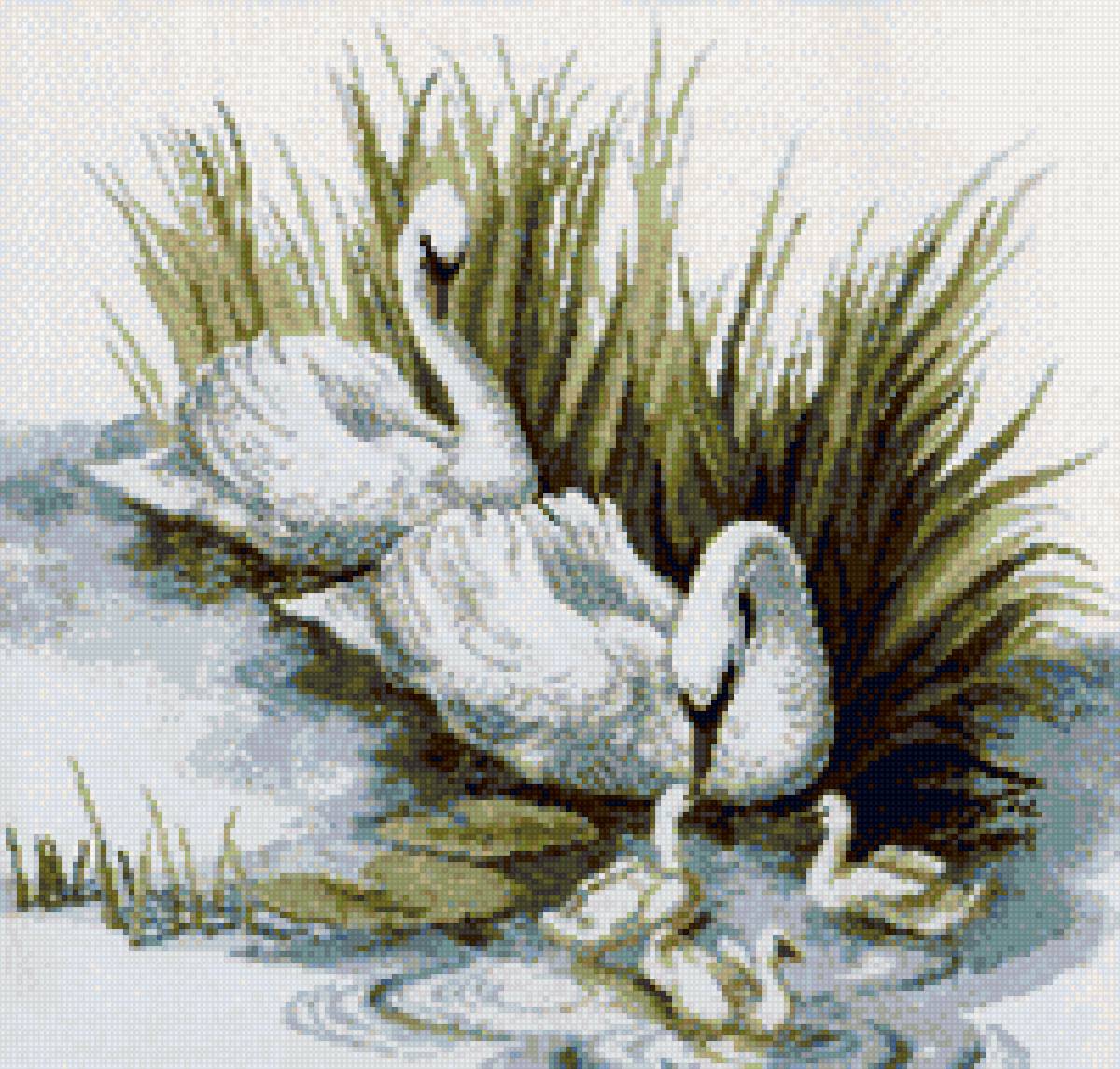 Лебеди - предпросмотр