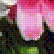Предпросмотр схемы вышивки «Пионы» (№1607447)