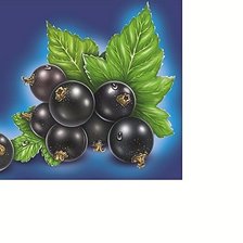 Схема вышивки «№1607515»