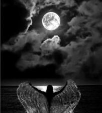 Схема вышивки «ночь»