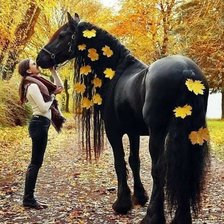 Схема вышивки «на прогулке»