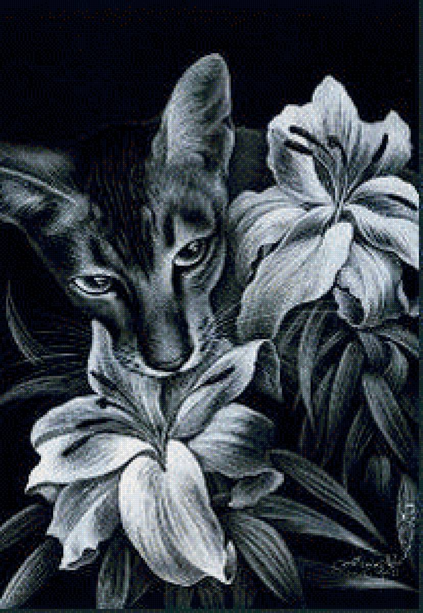 кот в цветах - монохром, кот - предпросмотр