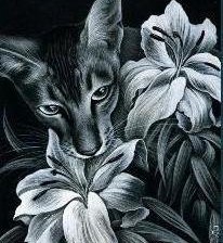 кот в цветах