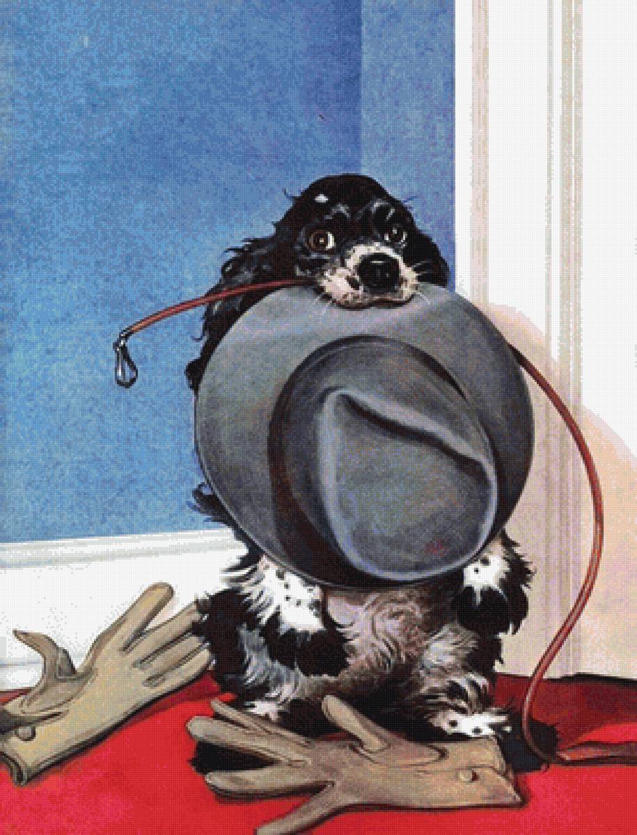 Собака - животные - предпросмотр