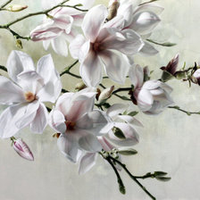 Схема вышивки «Нежность весны»