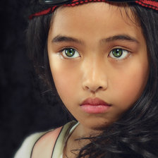 Схема вышивки «Айви»