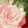 Предпросмотр схемы вышивки «ruže» (№1609175)
