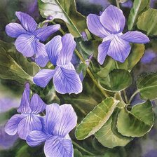 Схема вышивки «№1609183»