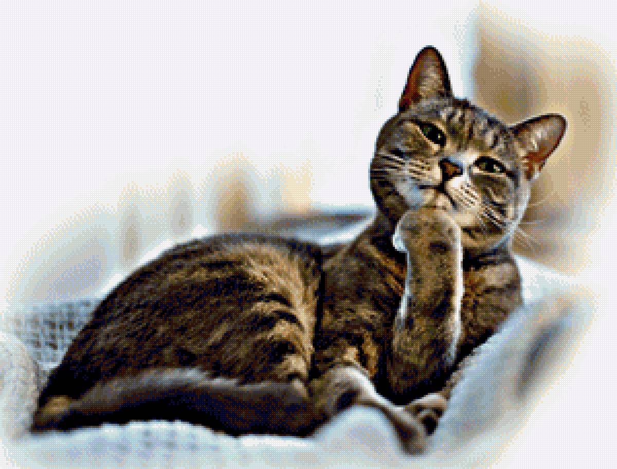 Я вас слушаю))) - предпросмотр