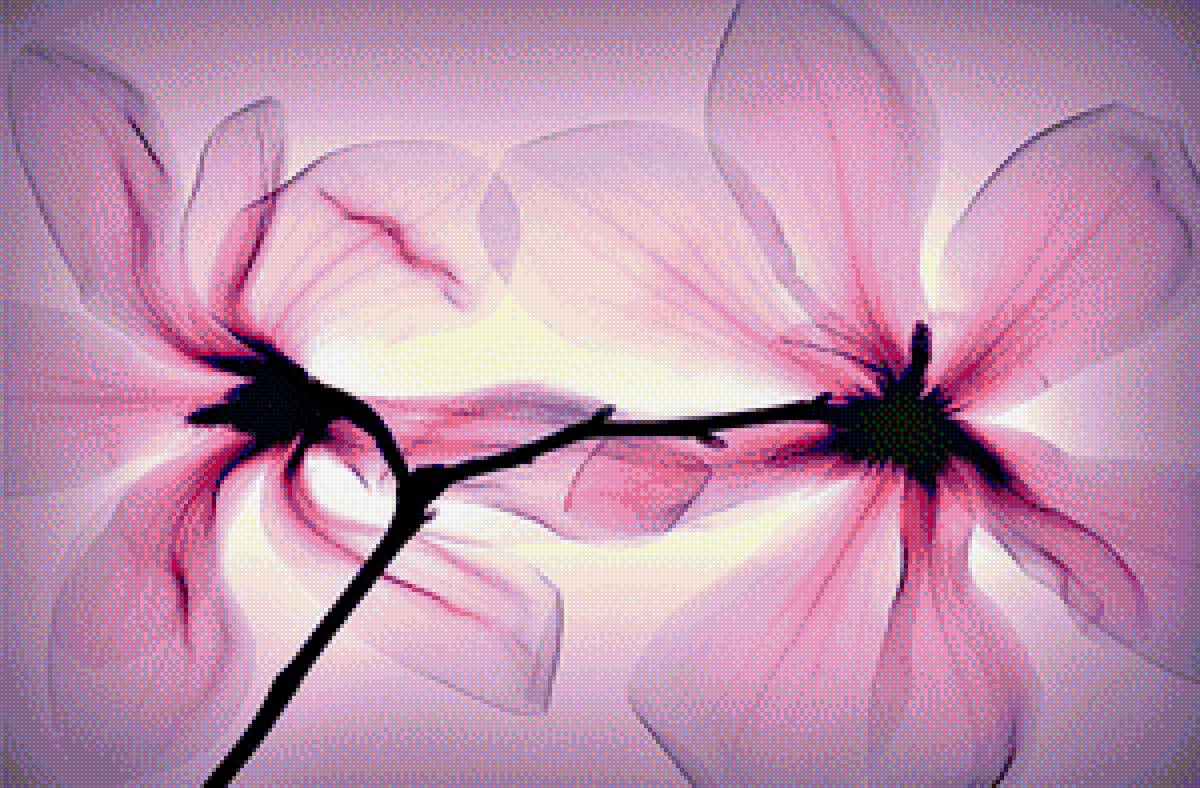 цветок - ветка, цветок, магнолия - предпросмотр