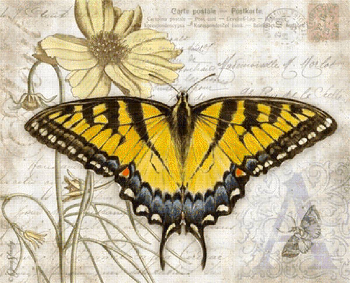 бабочки 7 - бабочки - предпросмотр