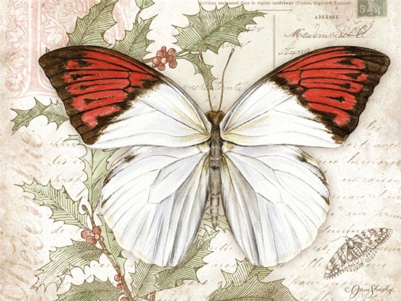 бабочки 9 - бабочки - оригинал