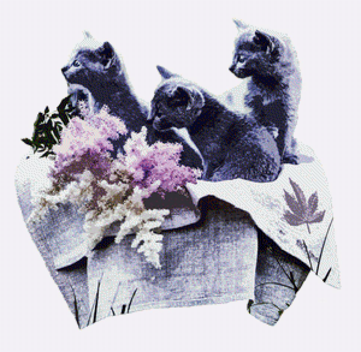 котята - предпросмотр