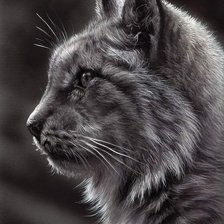 Схема вышивки «Кот»