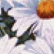 Предпросмотр схемы вышивки «Букет ромашек» (№1610377)