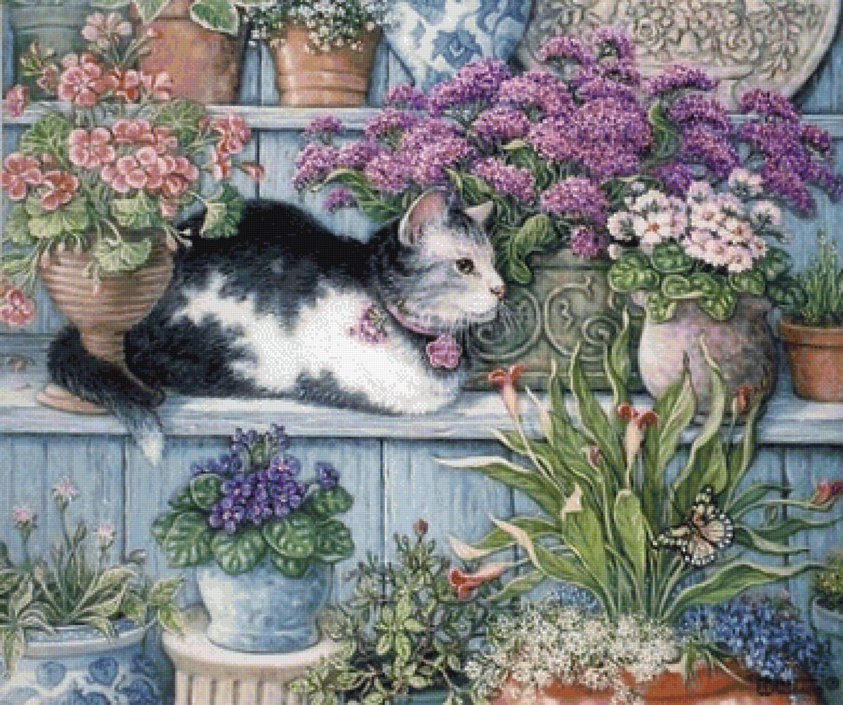 Цветочный кот - вазы. кот, цветы - предпросмотр
