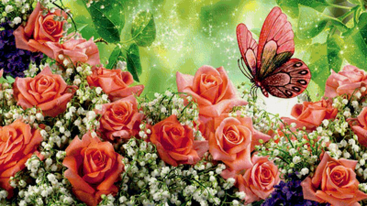 ruže - предпросмотр