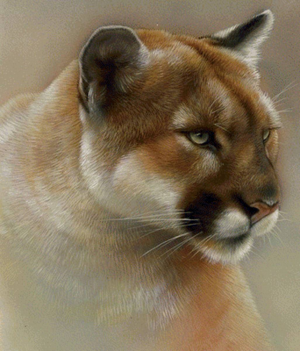 №1610846 - кошки, животные - предпросмотр