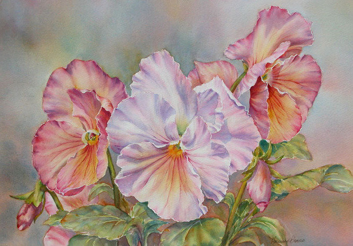 Виола - анютины глазки, цветы - оригинал