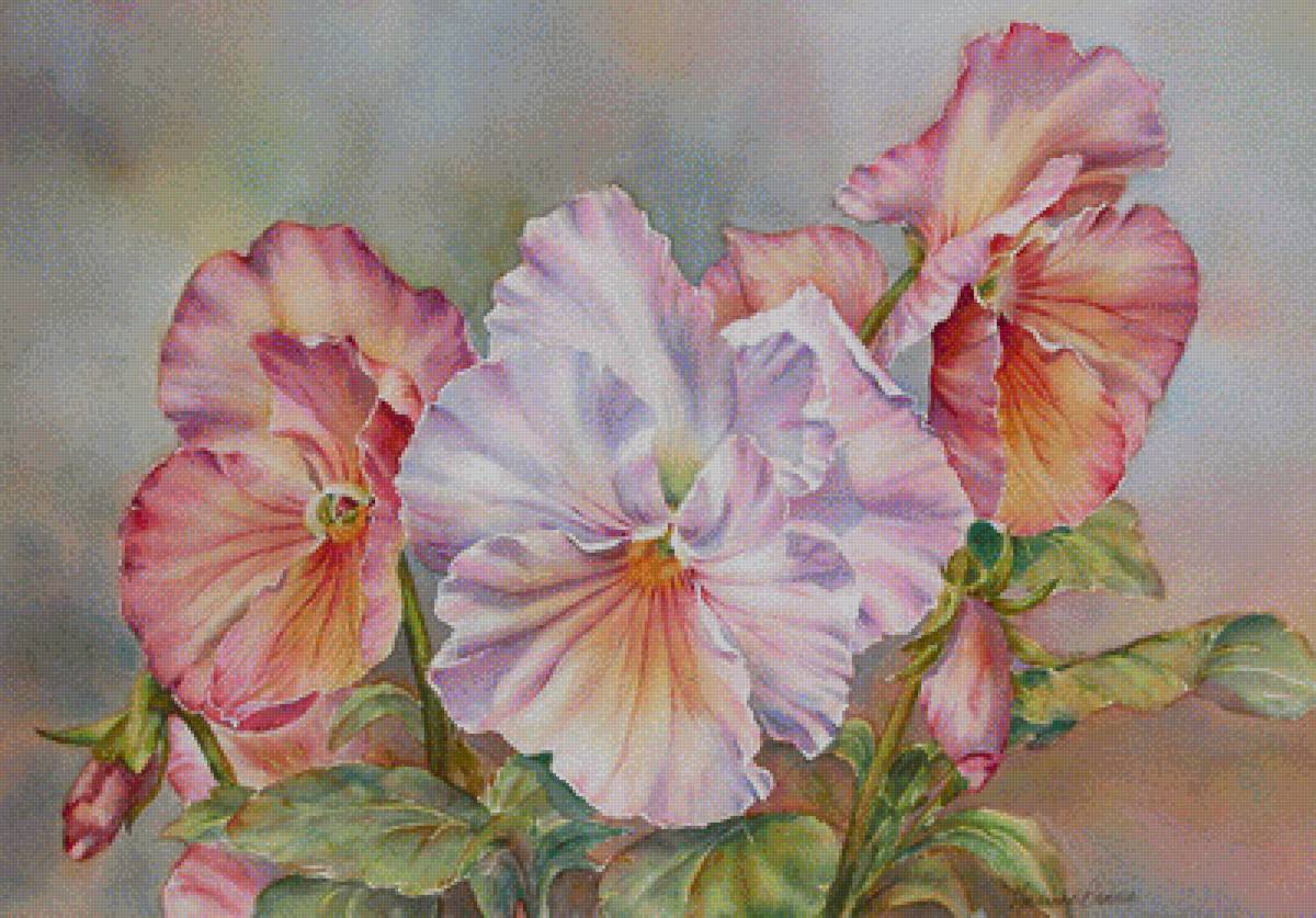 Виола - анютины глазки, цветы - предпросмотр