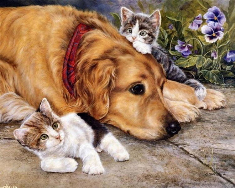 Мир животных - дружба, животное, кот, арт, собака - оригинал