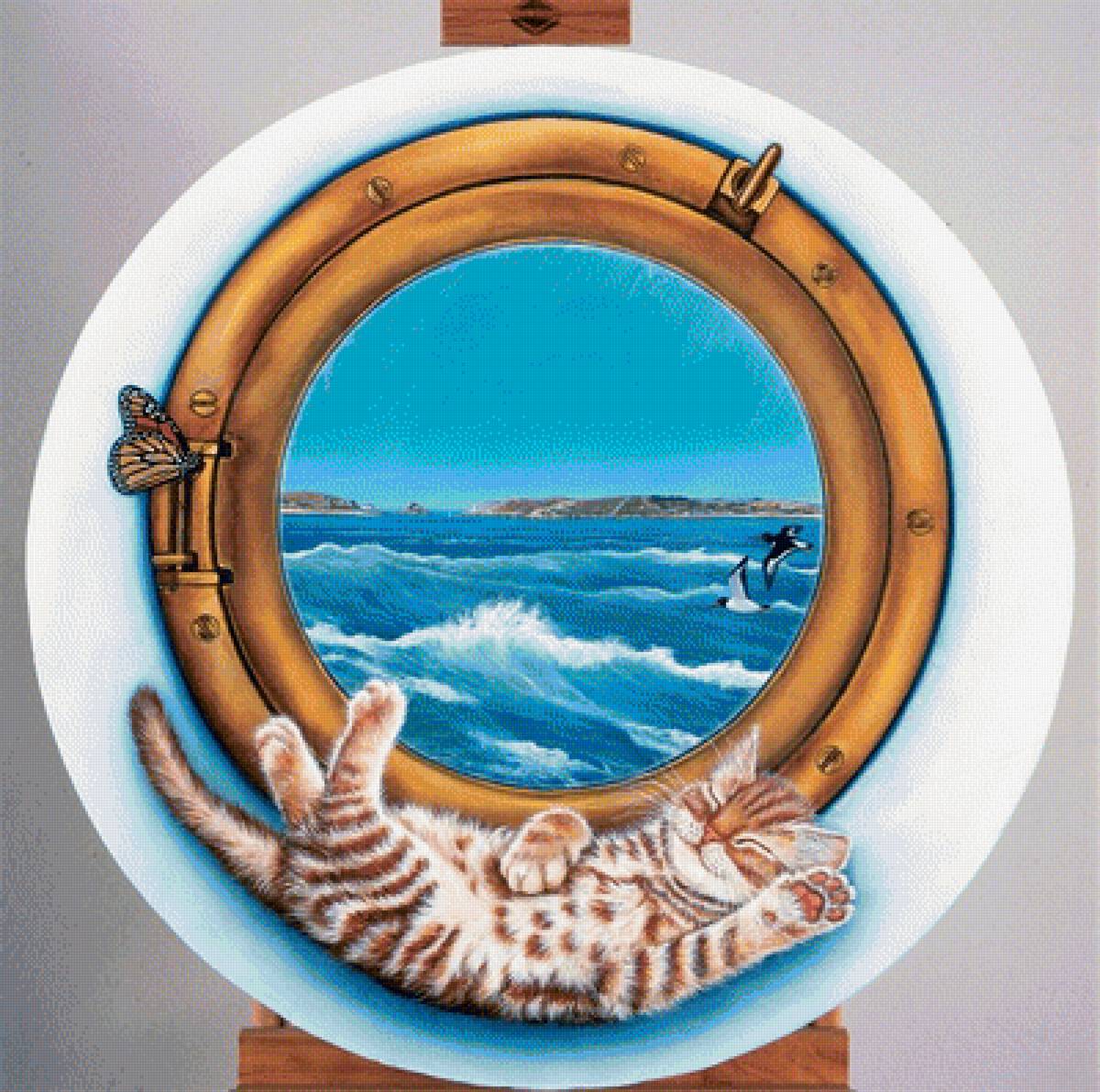 На вахте - море, коты - предпросмотр