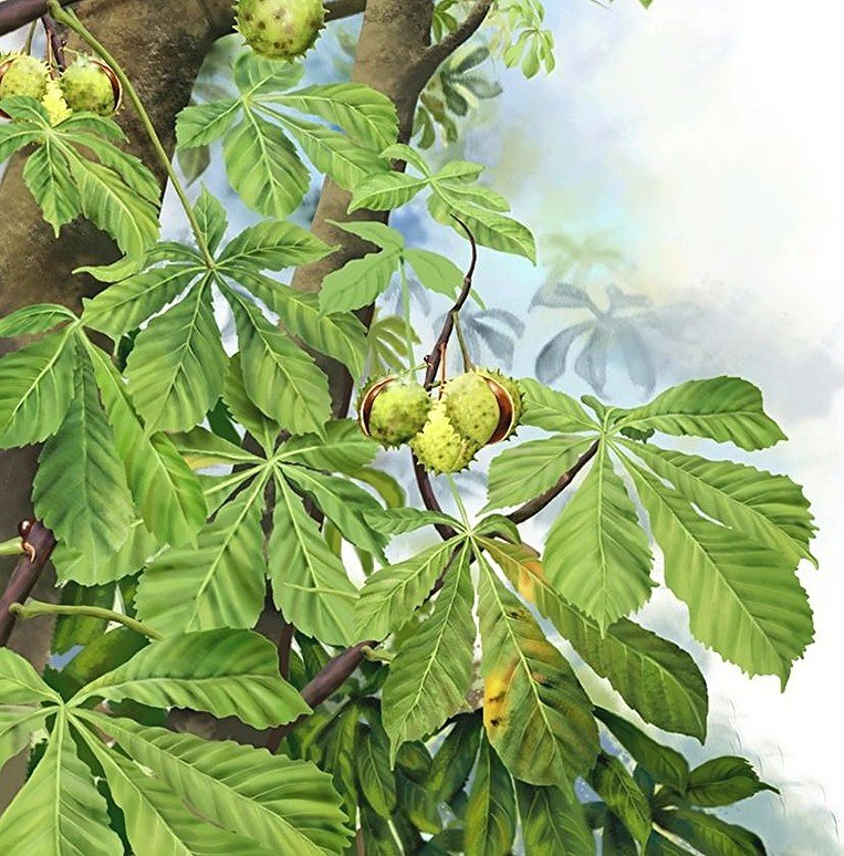 №1611078 - оригинал