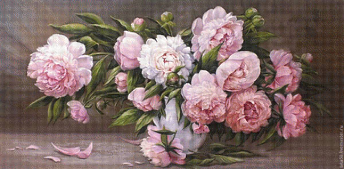 пионы - пионы - предпросмотр