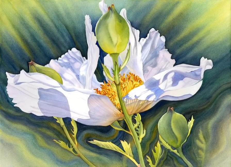 №1611213 - оригинал