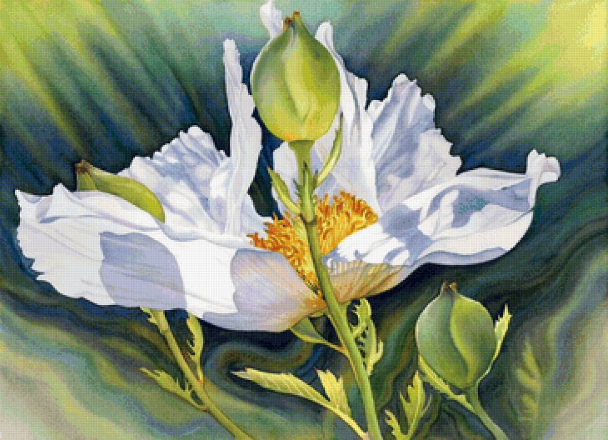 №1611213 - предпросмотр