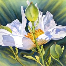 Схема вышивки «№1611213»