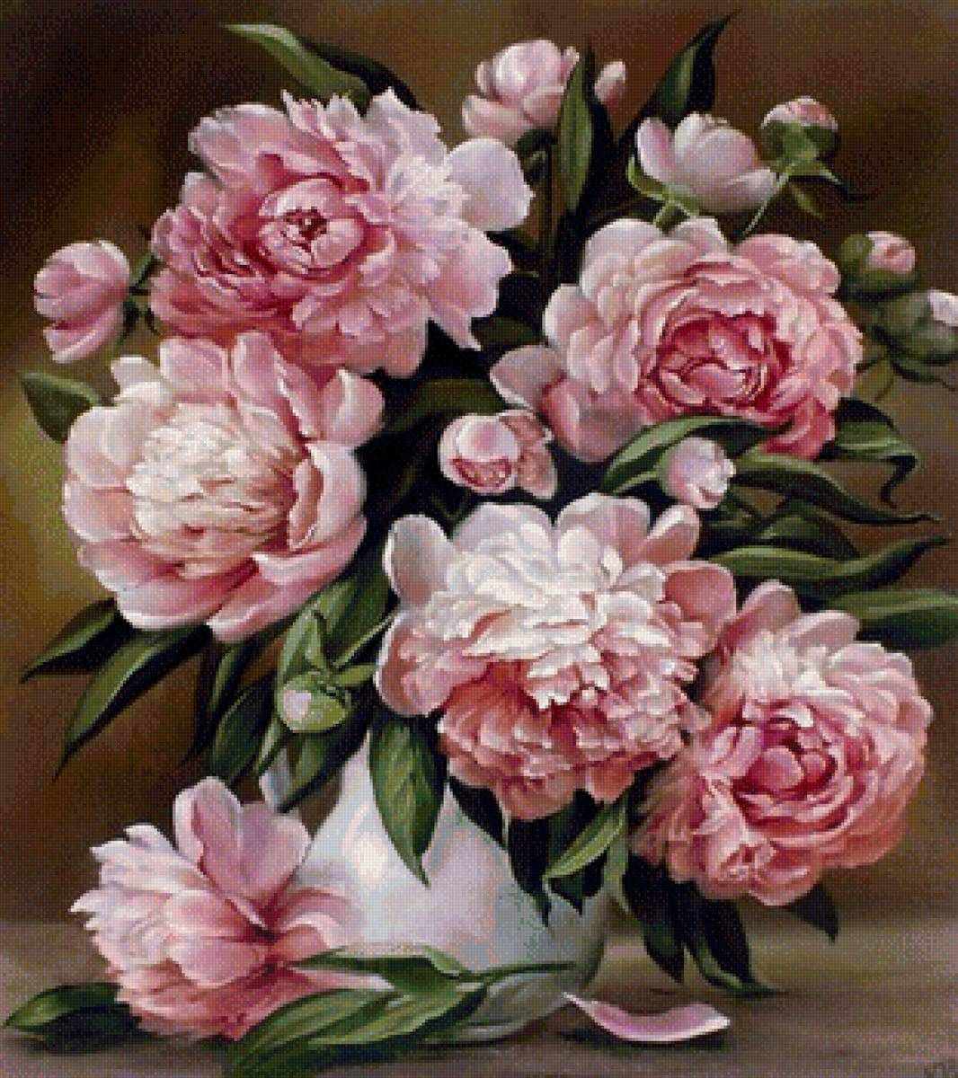 пионы - пионы - предпросмотр