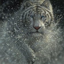 Схема вышивки «№1611456»