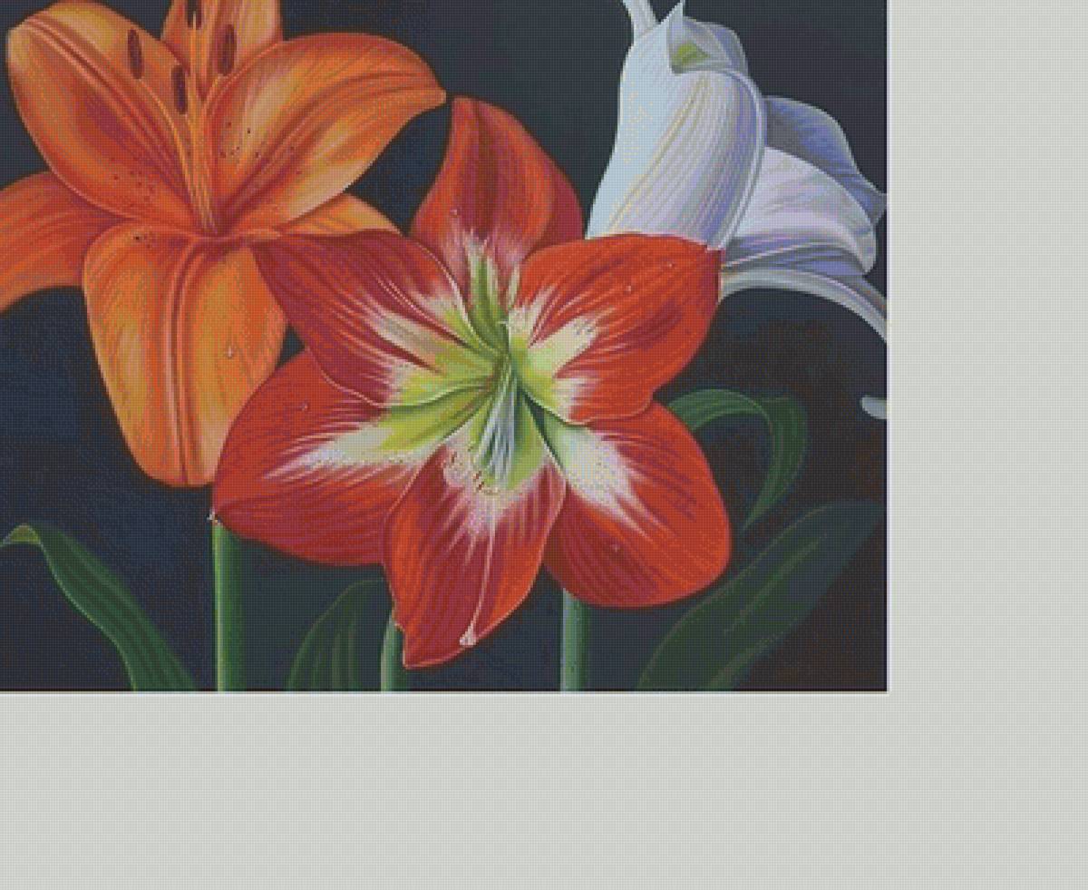 №1611515 - предпросмотр